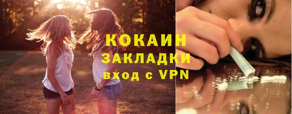 гашик Белокуриха
