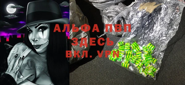 гашик Белокуриха