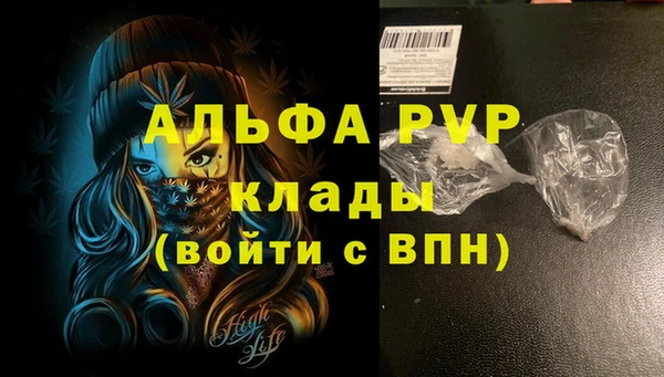 гашик Белокуриха