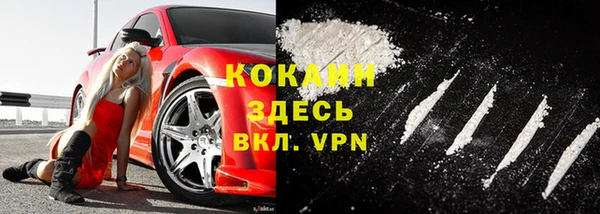 mdpv Богородицк