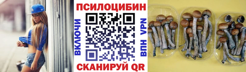 Псилоцибиновые грибы Psilocybe  купить наркотик  Симферополь 